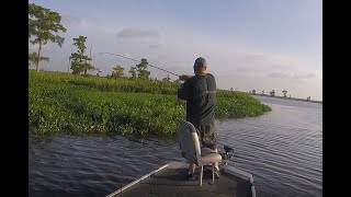 Fishing Manchac Swamp  North Pass  June 30 2020 [upl. by Norel774]