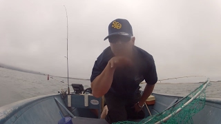 Leopard Shark amp Bat Ray Fishing In Morro Bay In HD [upl. by Eveineg]