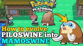 How to evolve PILOSWINE into MAMOSWINE in Pokemon Platinum [upl. by Hulbard]