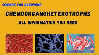 CHEMOORGANOHETEROTROPHS  Detailed Explanations  With Examples  Conceptional [upl. by Oleic75]