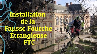 Élagage  Fausse Fourche Étrangleuse FTC  Technique N°2 [upl. by Brunk]