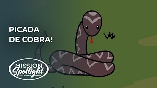 Picada de Cobra [upl. by Letisha]