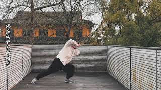 Xingyiquan the local version of Dragon Panyan Swallowingpractice anytime and anywhere形意拳内家拳龙盘燕掠 [upl. by Oiramed]