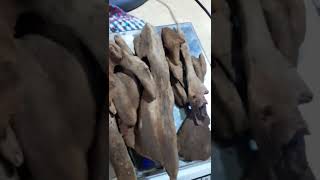 Agarwood Philippines [upl. by Garnett136]