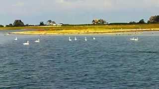 Ausfahrt Yachthafen Heiligenhafen vorbei am Graswarder von Heiligenhafen auf die weite Ostsee [upl. by Enialed]