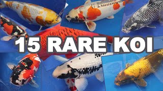 15 Most RARE and BEAUTIFUL KOI Fish Varieties [upl. by Alenas618]