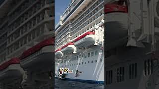 Short Cruceros Viajes Europa Turismo [upl. by Esdnyl]