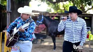 Tolin Infante Los Cedreños  En vivo desde la Cuadra “ El Buly “ [upl. by Ahidam]