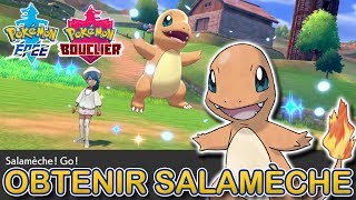 Récupérer Salamèche dans Pokémon Épée et Bouclier [upl. by Llehcear67]