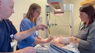 Neonatal Resuscitation in Five Minutes [upl. by Layap]