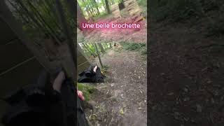 Une brochette du chef et une airsoft mtw wolverineairsoft [upl. by Louls278]