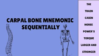 Carpal bones Mnemonic BAMS  MBBS BDS BHMS [upl. by Ecilayram]