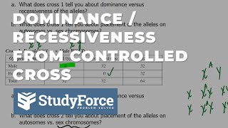 Determine Allele Dominance from a Controlled Cross [upl. by Buff233]