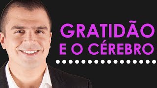 O SURPREENDENTE efeito da GRATIDÃƒO no cÃ©rebro [upl. by Atined]