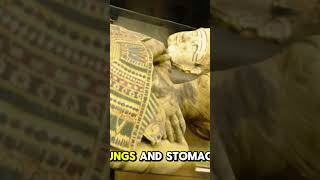 Mummification process history interesting fyp mummy ancient learning [upl. by Aicats]