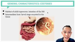 Parasitology Cestodes Part 1 [upl. by Niwdla58]