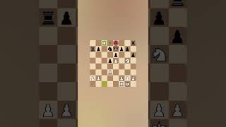 Young Magnus Carlsens Genius Move magnuscarlsenchessgeniuschessprodigyyoungmagnuschessshorts [upl. by Clay]