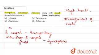 Bicarpellary syncarpous unilocularm ovary with basal placentation occurs in [upl. by Eudo341]