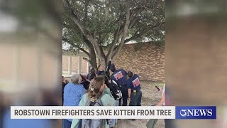 Robstown firefighters save kitten from tree [upl. by Cassandry]