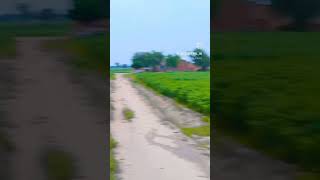 My farm house shorts viralvideo youtubeshorts trending PAWANBENIWAL309 [upl. by Auqenehs]