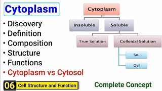 Cytoplasm structure and function  Complete Concept  J Biology [upl. by Aneral]