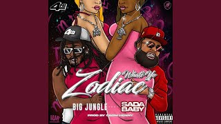 Whats Yo Zodiac feat Sada Baby [upl. by Landre]