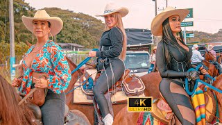 Gran Cabalgata en las Fiestas de Zarzal  Valle 😍 COLOMBIA 2024 [upl. by Eillib]