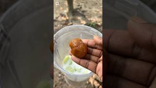 Cucumber milkshake 🥒🥒 cucumber milkshake food trending YourCookingVlog [upl. by Norita179]