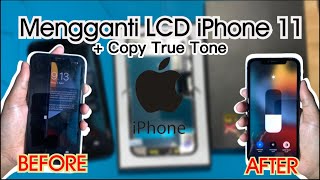 Ganti Layar LCD iPhone 11 [upl. by Hessney]