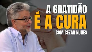 A gratidão é a cura [upl. by Steinberg664]