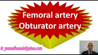 29 Femoral artery  obturator artery  Abnormal obturator artery [upl. by Mclain]