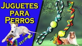 Aprende cómo hacer 3 Juguetes caseros para perros grandes [upl. by Qidas]