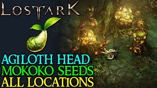 LOST ARK AQUILOKS HEAD ALL MOKOKO SEED LOCATIONS [upl. by Luisa]