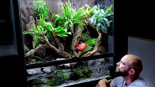 Aquascape Tutorial HUGE XL Paludarium  Vivarium Flooded Rainforest Build How To Step By Step [upl. by Petra]