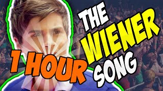 Smosh  THE WIENER SONG 1 Hour Version [upl. by Eeltrebor]