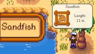 WHERE AND HOW TO CATCH SANDFISH Stardew Valley [upl. by Parthena]