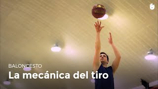 Cómo tirar a canasta  Baloncesto [upl. by Mar795]