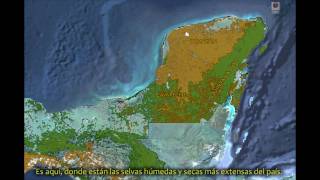 CONABIO  Calakmul  La reserva tropical más grande e importante de México [upl. by Ardnik]