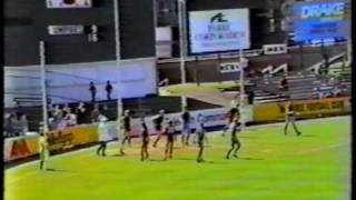 1987 VFA Grand Final Prahran Vs Waverley [upl. by Ardnua483]