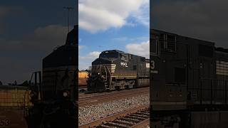 NS C449W LEADING in CALIFORNIA railway shorts rare gopro train [upl. by Gorton]