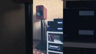 QAcoustics 3020i and Rotel cd11mk2 A11 Tribute Recomposed by Max Richter Vivaldi SPRING [upl. by Melburn]