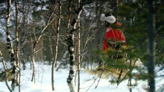 Norwegen Hundeschlittentour in Finnmark  Norway Dog Sledging in Finnmark by Reisefernsehencom [upl. by Tristam69]