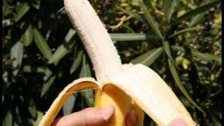 Gwen Stefani  Bananas Official Music Video [upl. by Zetrok]