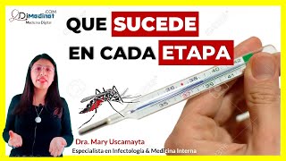 🟢 DESGLOSANDO las FASES del DENGUE ¿CÓMO IDENTIFICAR CADA ETAPA ▶ Dra Mary Uscamayta 👩‍⚕️ [upl. by Chem]