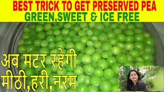 HOW TO PRESERVE GREEN PEAS  BRIGHT HOME  BY NIDHI SINGH [upl. by Amyaj]