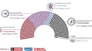 SONDAGE  Législatives 2024  voici à quoi pourrait ressembler la nouvelle Assemblée nationale [upl. by Aztinaj895]