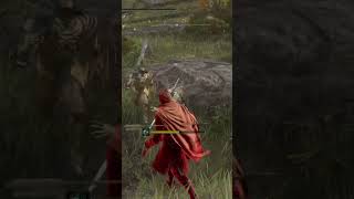 2 for 1 eldenring eldenringpvp fromsoftware darksouls soulsborne xbox eldenringdlc sekiro [upl. by Loella]