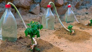 Como hacer RIEGO POR GOTEO casero con botellas de plastico simple y barato [upl. by Oiceladni289]