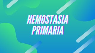 Hemostasia Primaria Formación del Tapón Plaquetario l MEDIAPRENDE [upl. by Ineslta]