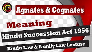 Agnates And Cognates Meaning Under Hindu Succession Act 1956 l Hindu Law Lecture [upl. by Urd]